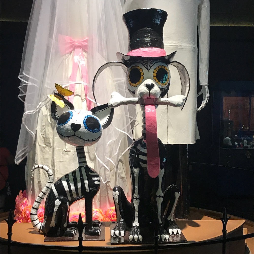 Meet your Posher, Leigh